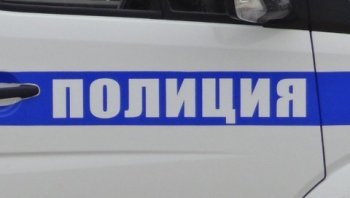 Трубчевские полицейские задержали подозреваемую в двойной кражес